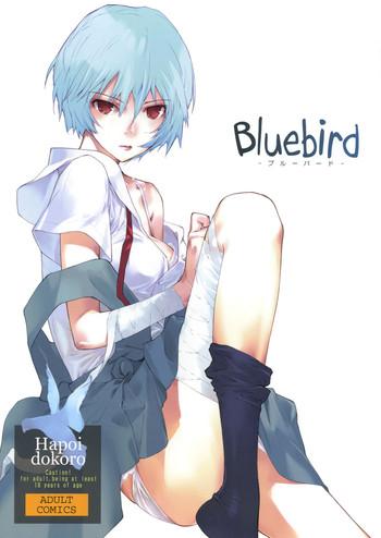 Bluebird- Neon genesis evangelion hentai
