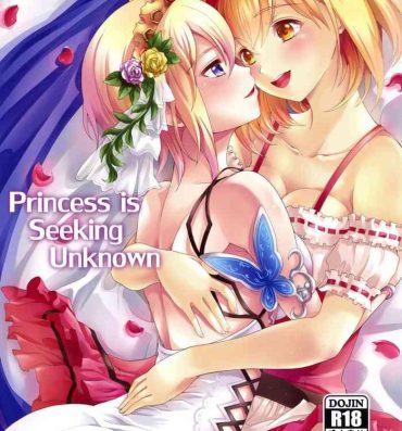 Amateur Princess is Seeking Unknown- Granblue fantasy hentai Little