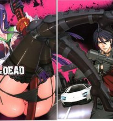 Hotfuck Kiss of the Dead- Highschool of the dead hentai Pounded