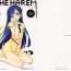 Double IN THE HAREM C SIDE- The idolmaster hentai Play